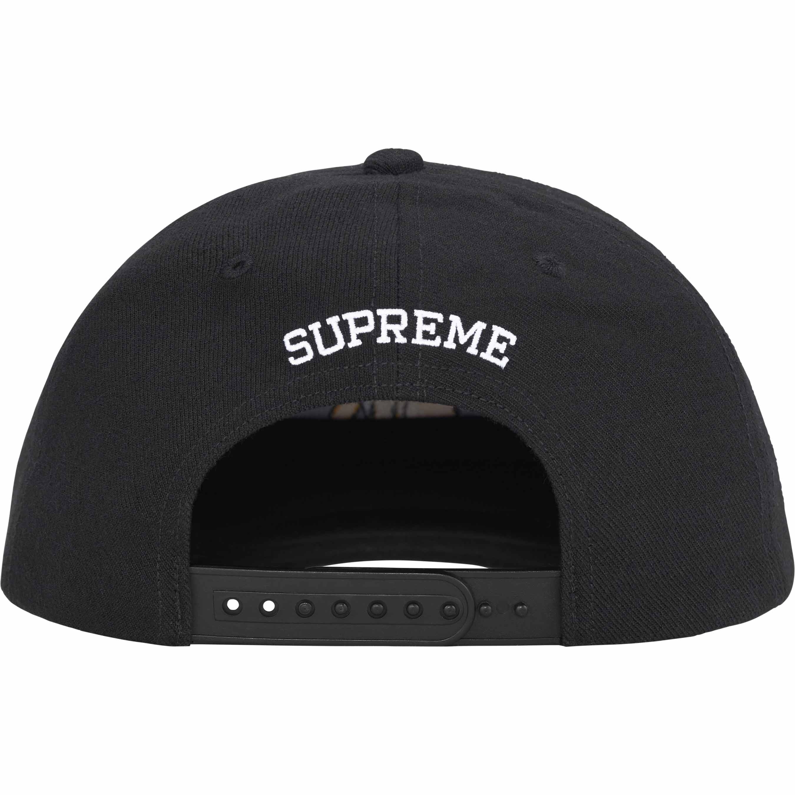 Melvins 6-Panel view 3